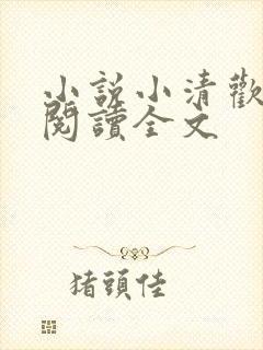 小说小清欢免费阅读全文封面
