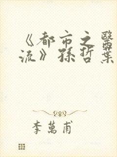 《都市之医武风流》孙哲叶巧朱颜