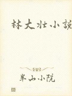 林大壮小说阅读