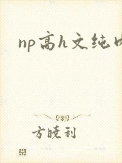 np高h文纯肉