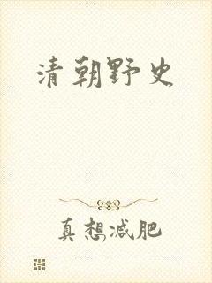 清朝野史封面