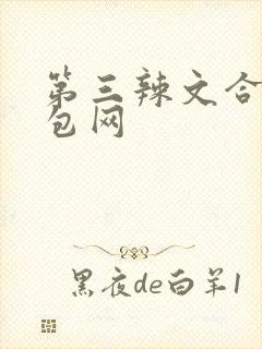 第三辣文合集书包网