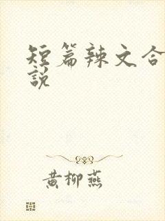 短篇辣文合集小说封面