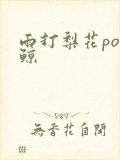 雨打梨花po问鲸