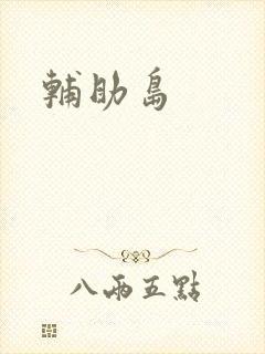 辅助岛