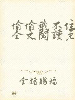 偷偷藏不住小说全文阅读免费封面