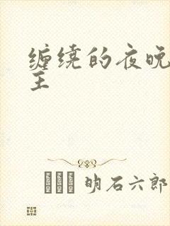 缠绕的夜晚双男主
