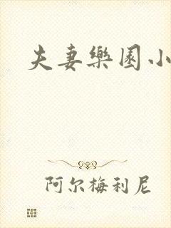 夫妻乐园小说封面