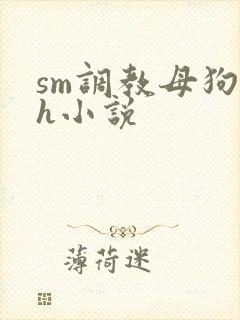 sm调教母狗高h小说