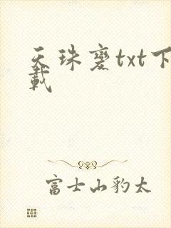 天珠变txt下载