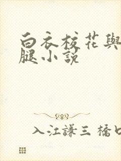 白衣校花与大长腿小说
