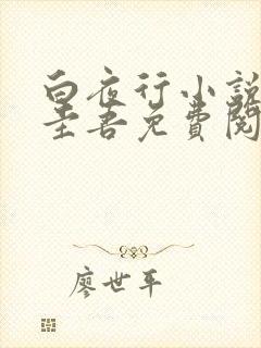 白夜行小说东野圭吾免费阅读全文封面
