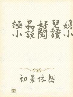 极品好儿媳秦雨小说阅读小说全文封面