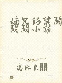 嫡兄的禁阙 华阙阙小说封面