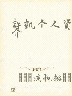 许凯个人资料简介