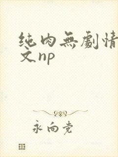 纯肉无剧情肉的文np