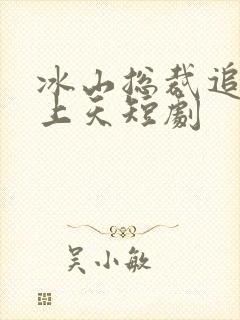 冰山总裁追妻宠上天短剧