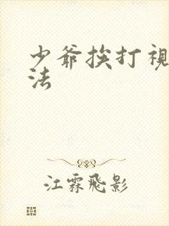 少爷挨打视频家法