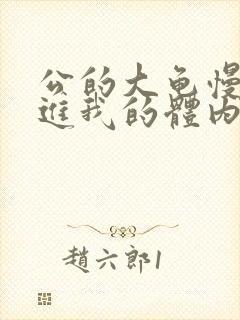 公的大龟慢慢挺进我的体内