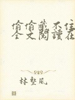 偷偷藏不住小说全文阅读在线