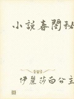 小说春闺秘史