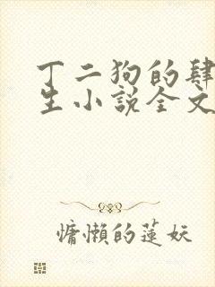 丁二狗的肆意人生小说全文阅读完整版下载封面