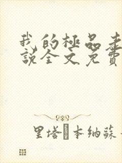 我的极品老婆小说全文免费