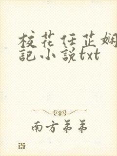 校花任芷娴的日记小说txt
