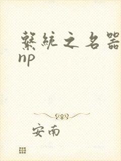 系统之名器攻略np
