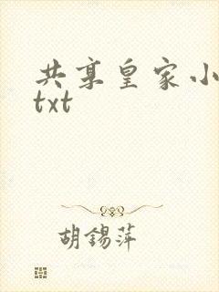 共享皇家小公主txt