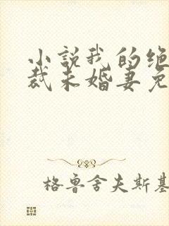 小说我的绝色总裁未婚妻免费阅读