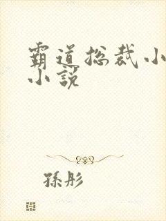 霸道总裁小娇妻小说