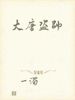 大唐盗帅