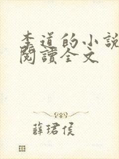 李道的小说免费阅读全文封面