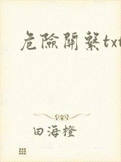 危险关系txt封面