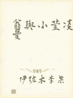 翁与小莹凌晨欢爱