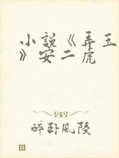 小说《弄玉偷香》安二虎