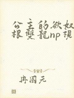 公主的欲奴h四根双龙np视频