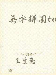无字拼图txt封面