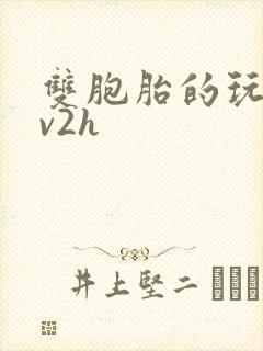 双胞胎的玩具1v2h