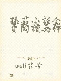 孙茹小说全文免费阅读无弹窗