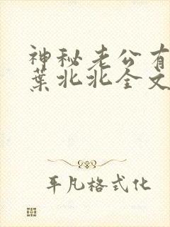 神秘老公有点坏叶北北全文免费阅读封面