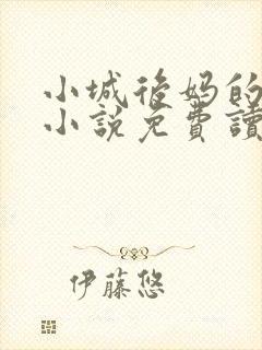 小城后妈的春天小说免费读全文