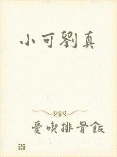 小可刘真封面