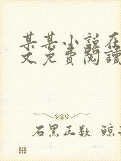 某某小说在线全文免费阅读