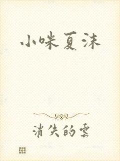 小咪夏沫封面