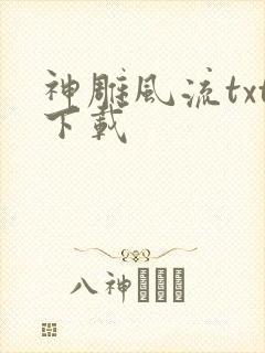 神雕风流txt下载封面