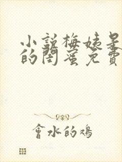 小说梅姨是小妈的闺蜜免费阅读