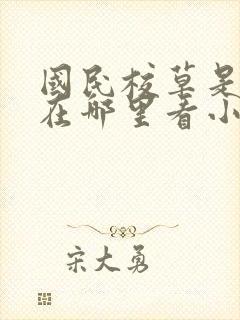 国民校草是女生在哪里看小说