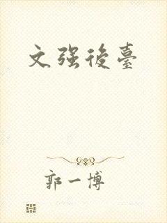 文强后台